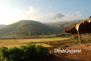 8 forest dept staffers held hostage and assaulted in Dang; five accused