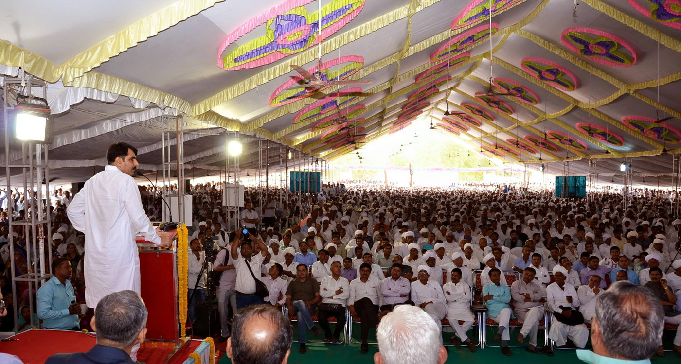 Banas Dairy to give zero-interest credit cards to cattle breeders